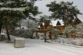 pine 02 gate 03.JPG